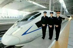 构成了一个全方位、多条理的专业